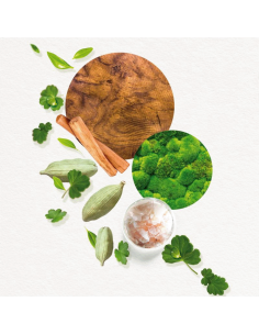 Annayake Kogai For Him Eau... 2