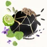 Annayake Mood for Art H Eau de Toilette | Woody-Aromatic Men’s Perfume