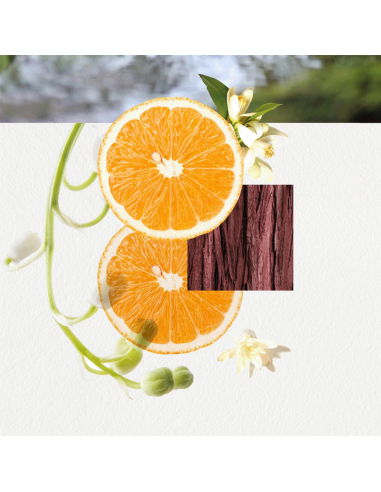 Annayake Omizu for Her Eau de Parfum