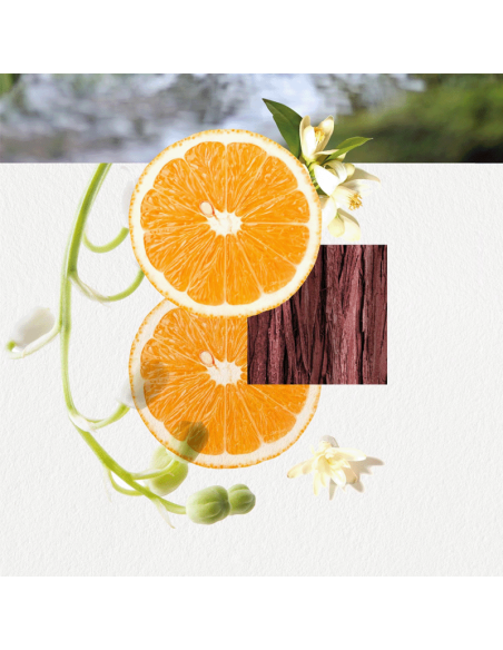 Annayake Omizu for Her Eau de Parfum