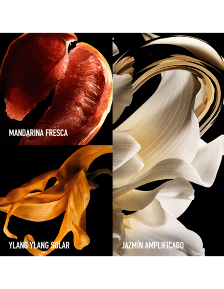 Million Gold Pure Jasmine