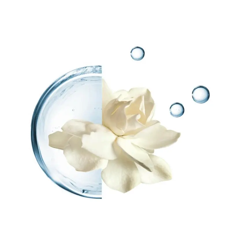 ANNAYAKE HYDRATION SOIN HAUTE 50 ML