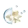 ANNAYAKE HYDRATION SOIN HAUTE 50 ML