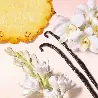 Armani Sun Vanilla EDP | Envíos gratis Canarias y Península +65 | Esennia.com