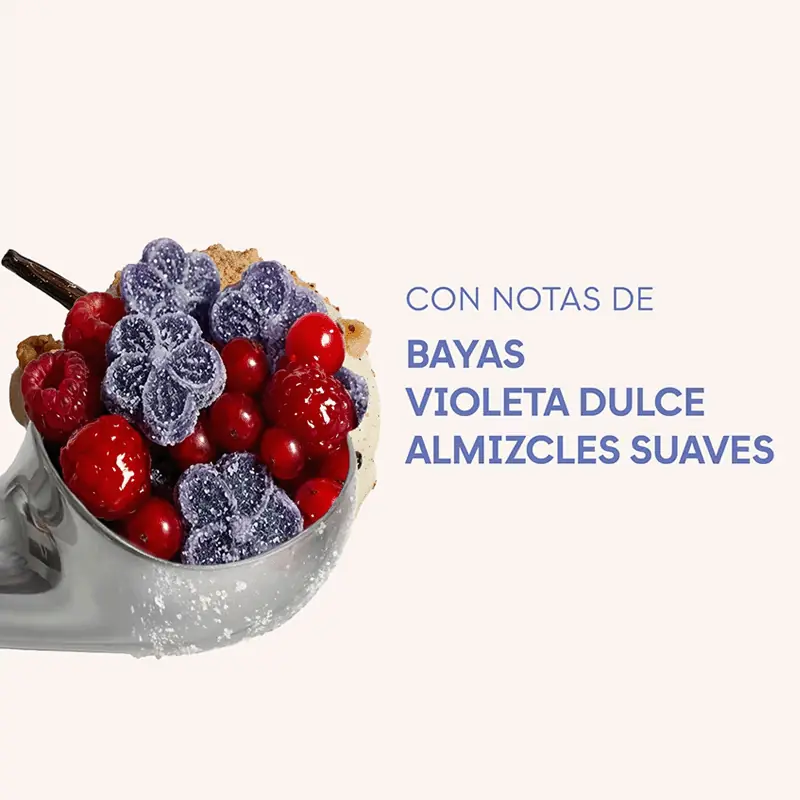 Cacharel Viol Candy Mist | Envíos gratis Canarias y Península +65 | Esennia.com
