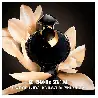 Rabanne Olympéa Absolu Parfum Intense Mujer