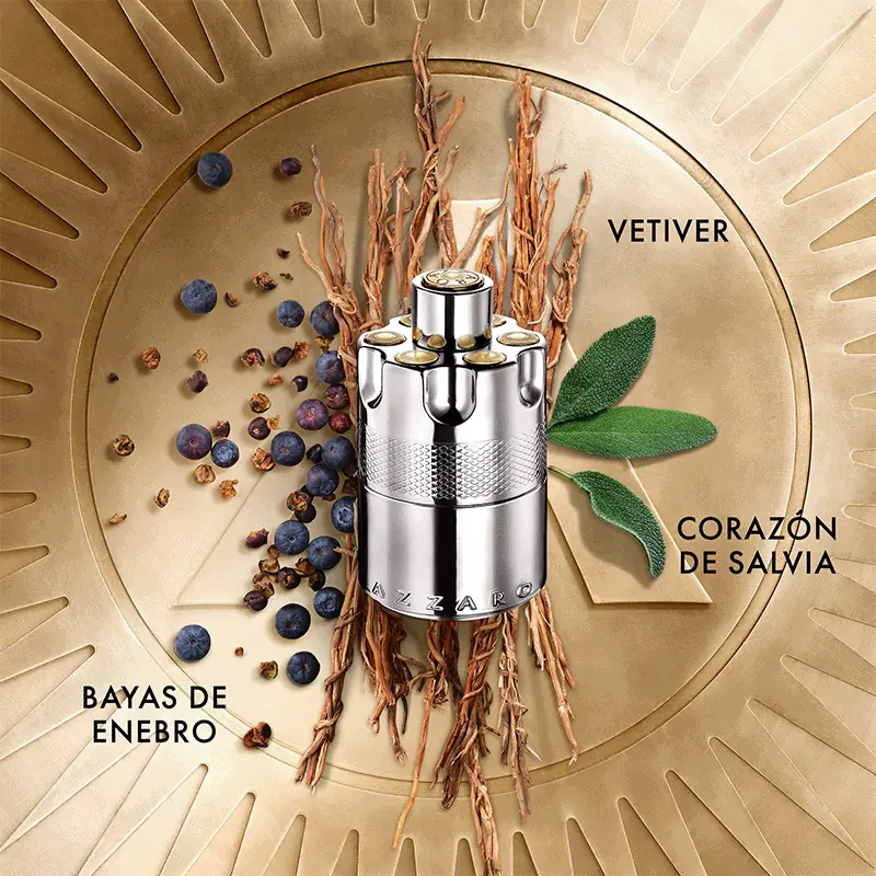 Azzaro Wanted EDP | Perfume Amaderado Especiado Masculino