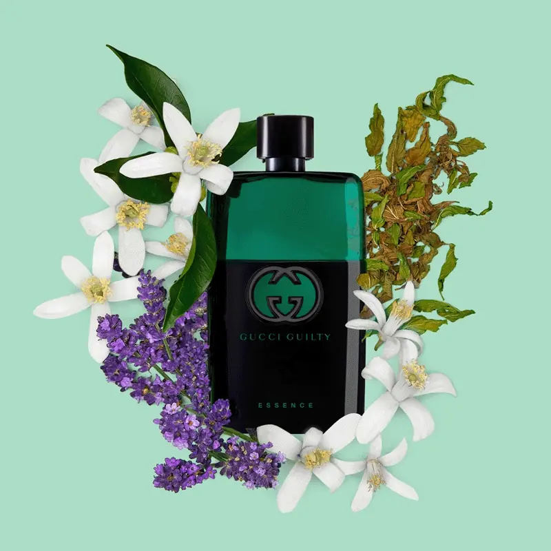 Gucci Guilty EDT Essence | Perfume Aromático Especiado para Hombre