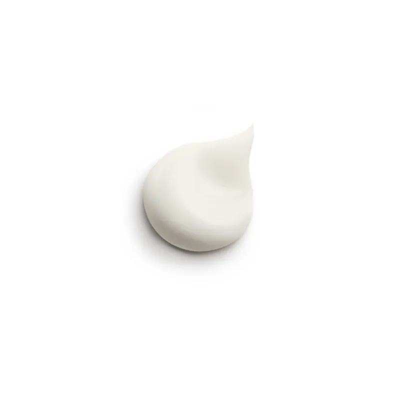 SISLEY ALL DAY ALL YEAR FL 50 ML