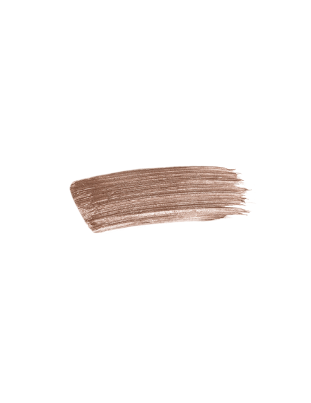 Sisley Phyto Sourcils Fix