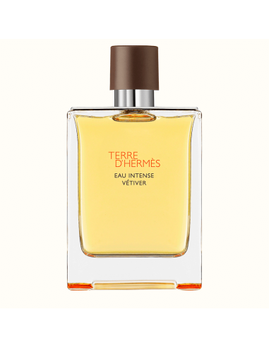 Terre D'Hermes Eau Intense Vetiver Hermès
