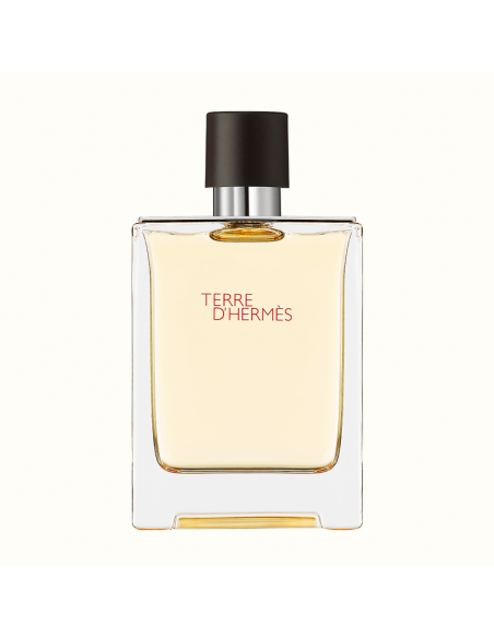 Terre d'Hermès Hermès