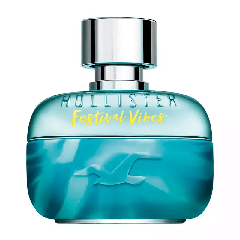 Festival Vibes for Him Hollister