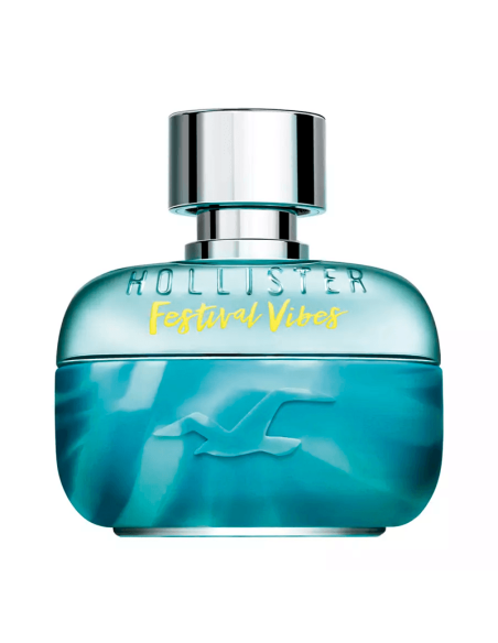 Festival Vibes for Him Hollister