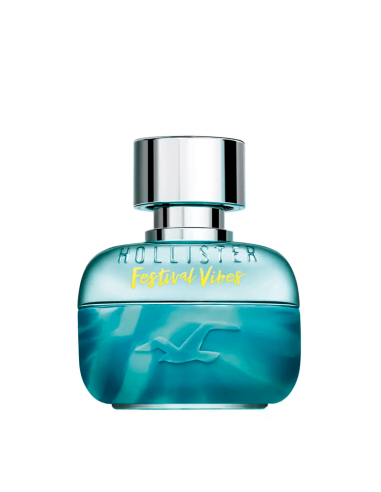 Festival Vibes for Him Hollister