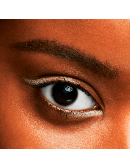 Shiseido Pop PowderGel Eye Shadow