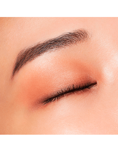 Shiseido Pop PowderGel Eye Shadow