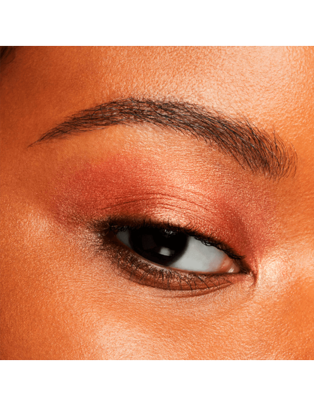 Shiseido Pop PowderGel Eye Shadow