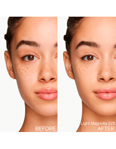 Shiseido Synchro Skin Self-Refreshing Tint