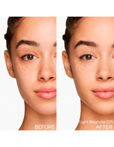 Shiseido Synchro Skin Self-Refreshing Tint