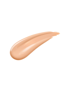 Shiseido Synchro Skin... 2