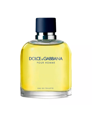 DOLCE & GABBANA DOLCE & GABBANA POUR HOMME