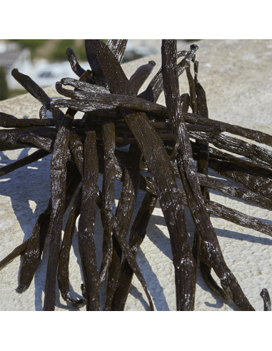 Devotion Dolce&Gabbana