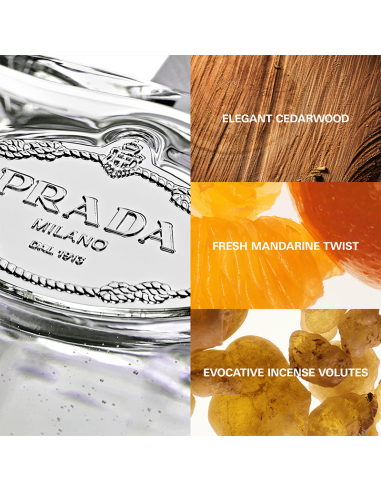 Infusion d'Iris Cèdre Prada