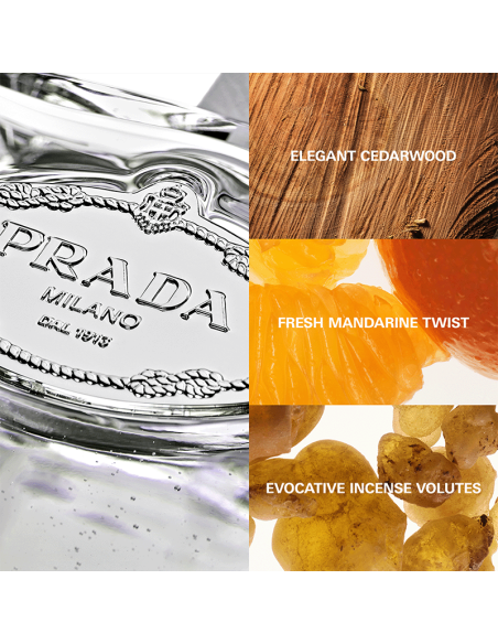 Infusion d'Iris Cèdre Prada