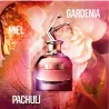 Scandal Pour Homme Jean Paul Gaultier