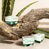 ALOE VERA PREMIER CREMA ANTIARRUGAS