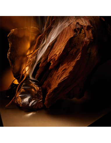 Boss Bottled Elixir Hugo Boss