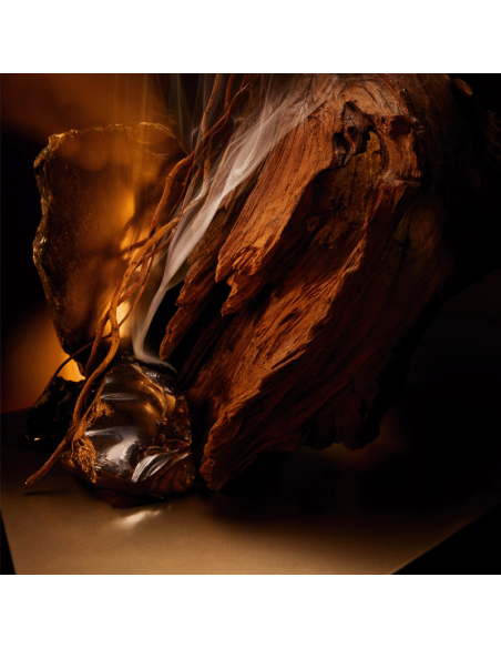 Boss Bottled Elixir Hugo Boss