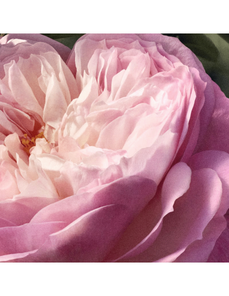 Chloé Eau de Parfum Naturelle Chloé