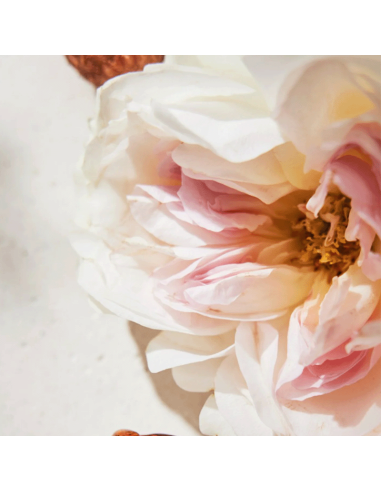 Chloé Eau de Parfum Chloé