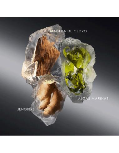 Le Sel d’Issey Issey Miyake