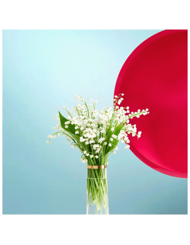 Miu Miu Eau de Parfum