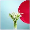 MIU MIU EAU DE PARFUM | ESENNIA