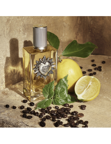 Devotion Pour Homme Dolce&Gabbana