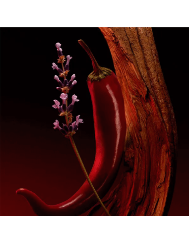 Boss The Scent Elixir For Him Hugo Boss