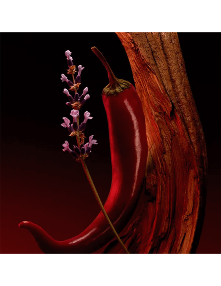 Boss The Scent Elixir For Him Hugo Boss