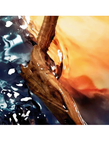 Cool Water Reborn Davidoff Eau De Parfum