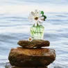 Daisy Wild Marc Jacobs Eau De Parfum | ESENNIA