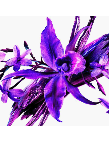 Alien Extraintense Mugler Eau De Parfum