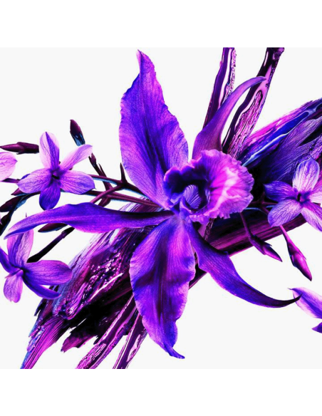 Alien Extraintense Mugler Eau De Parfum