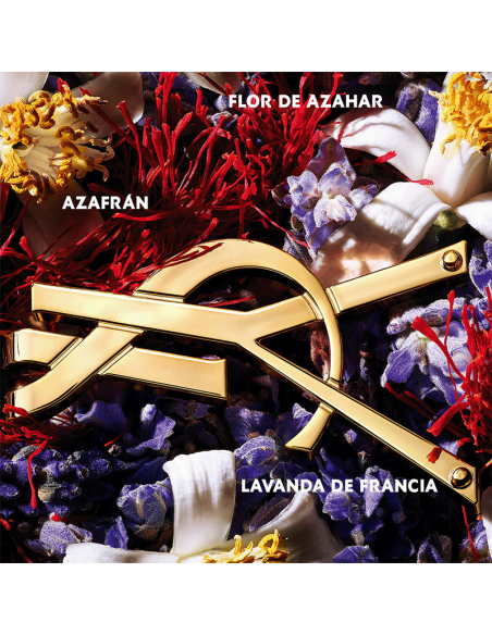 Libre Le Parfum Yves Saint Laurent