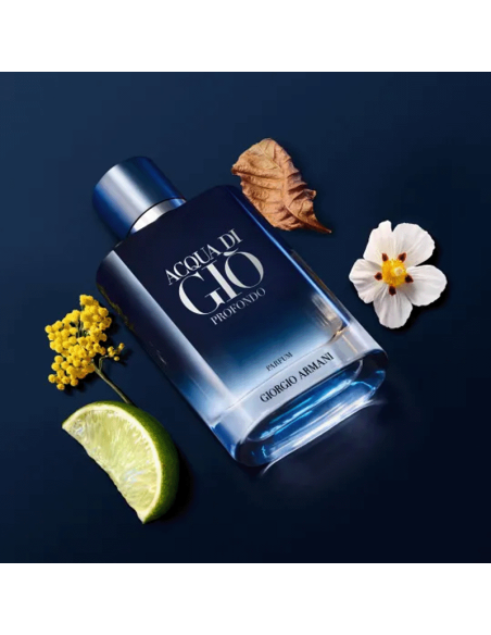 Acqua di Giò Profondo Parfum Giorgio Armani
