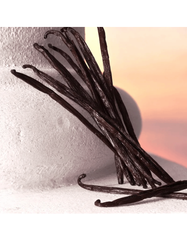 Devotion Intense Dolce&Gabbana