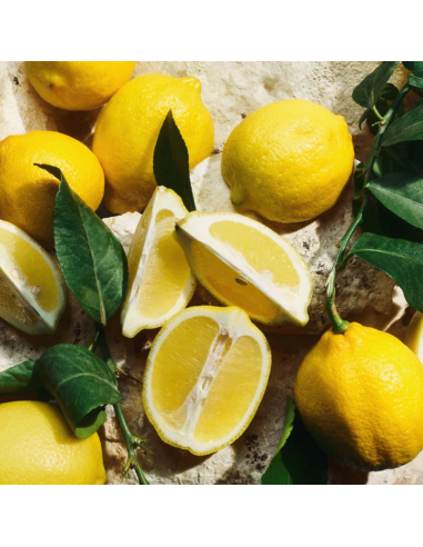 Light Blue Pour Homme Eau de Toilette...