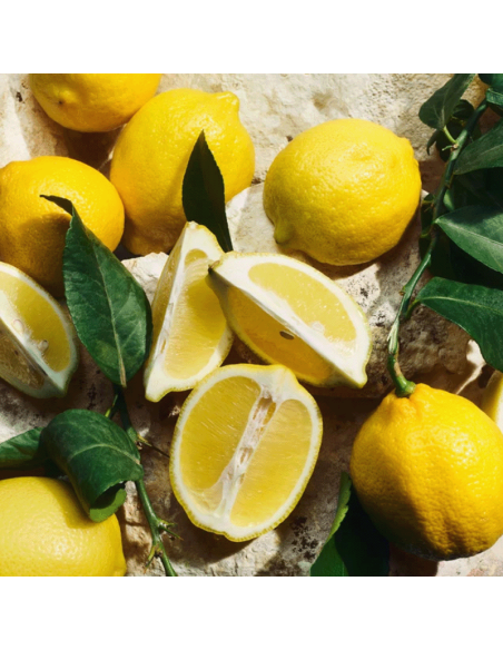 Light Blue Pour Homme Eau de Toilette Dolce&Gabbana